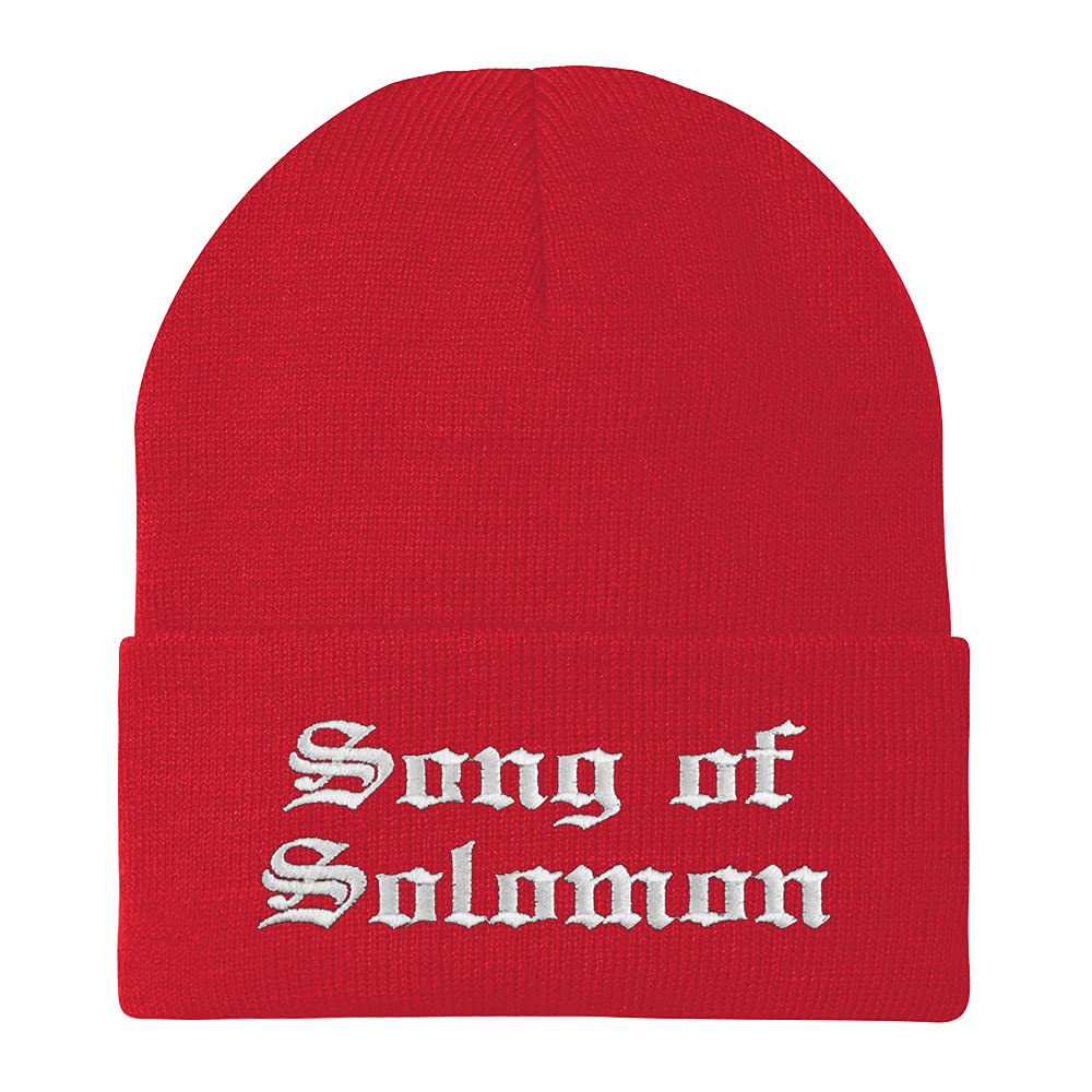 Trendy Apparel Shop Song of Solomon Old English Embroidered Long Cuff Beanie