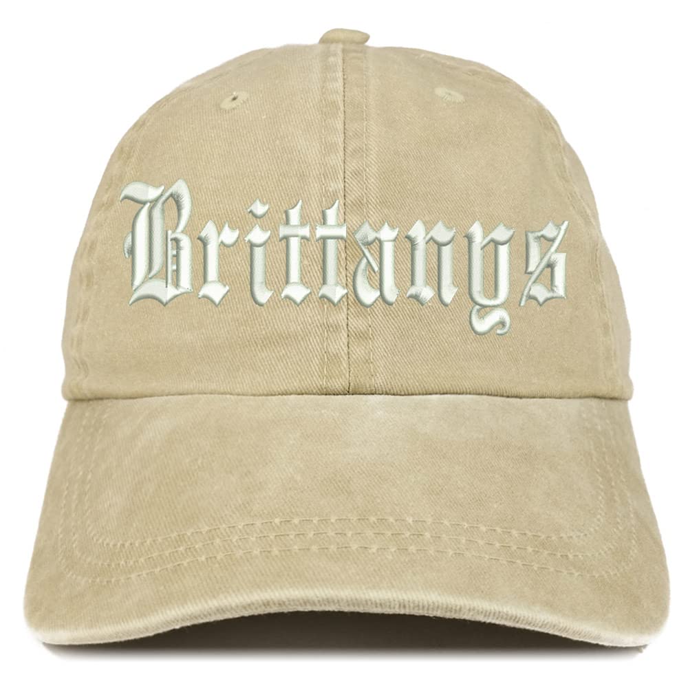 Trendy Apparel Shop Old English Brittanys Washed Pigment Dyed Baseball Cap