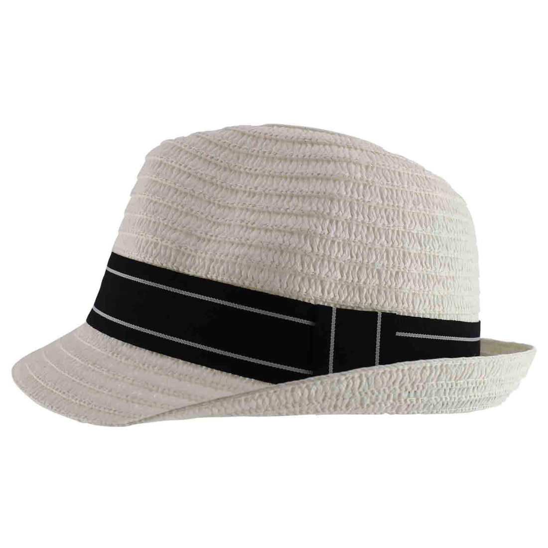 Trendy Apparel Shop Men's Paper Straw Woven Striped Band Stingy Fedora Hat
