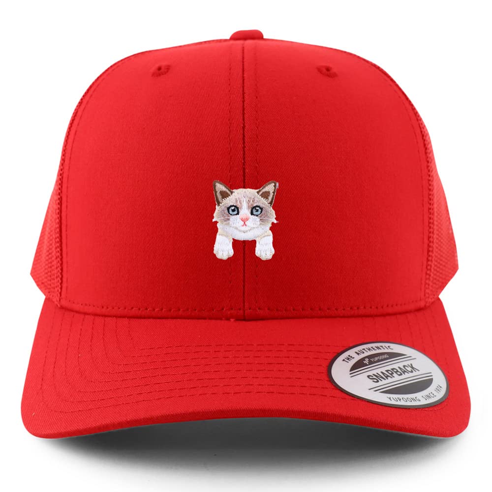 AP0067-FLX-6606-RED