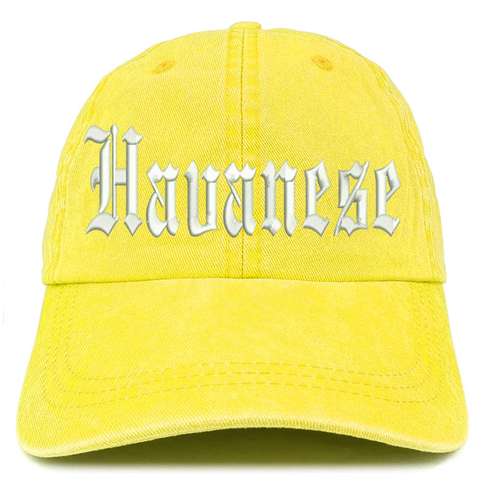 Trendy Apparel Shop Old English Havanese Washed Pigment Dyed Baseball Cap