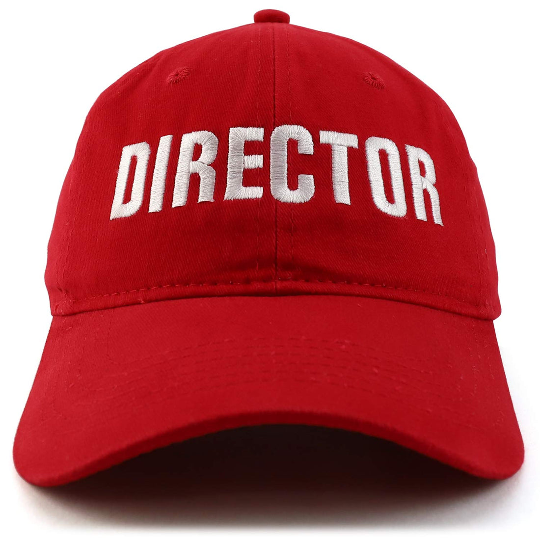 Trendy Apparel Shop Director Embroidered Soft Cotton Low Profile Dad Hat Baseball Cap