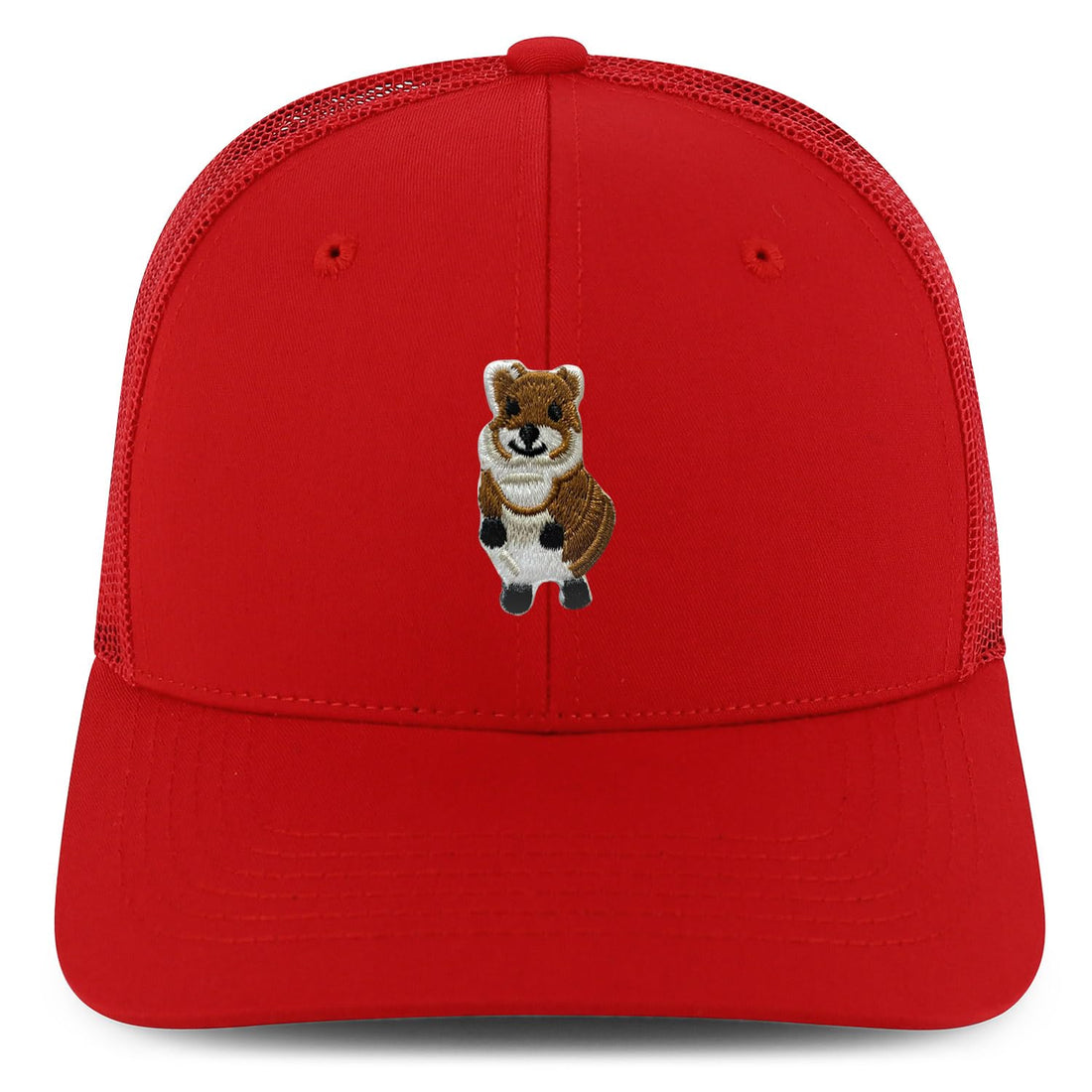 AP0171-NIS-GNV-003M-RED