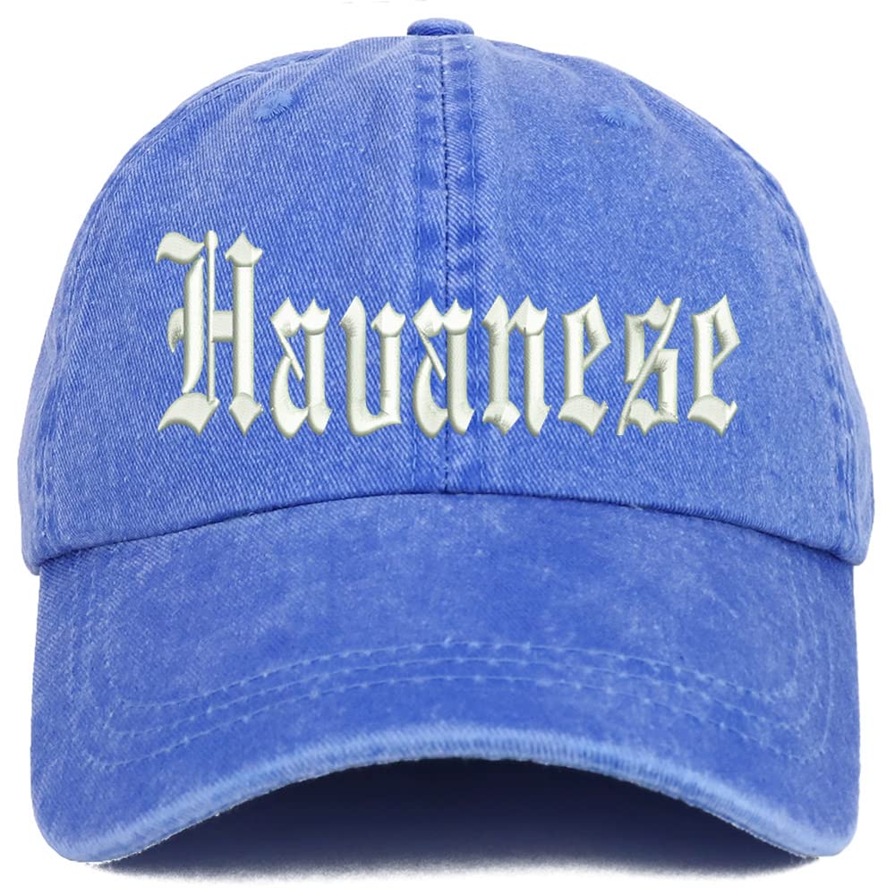 Trendy Apparel Shop Old English Havanese Washed Pigment Dyed Baseball Cap