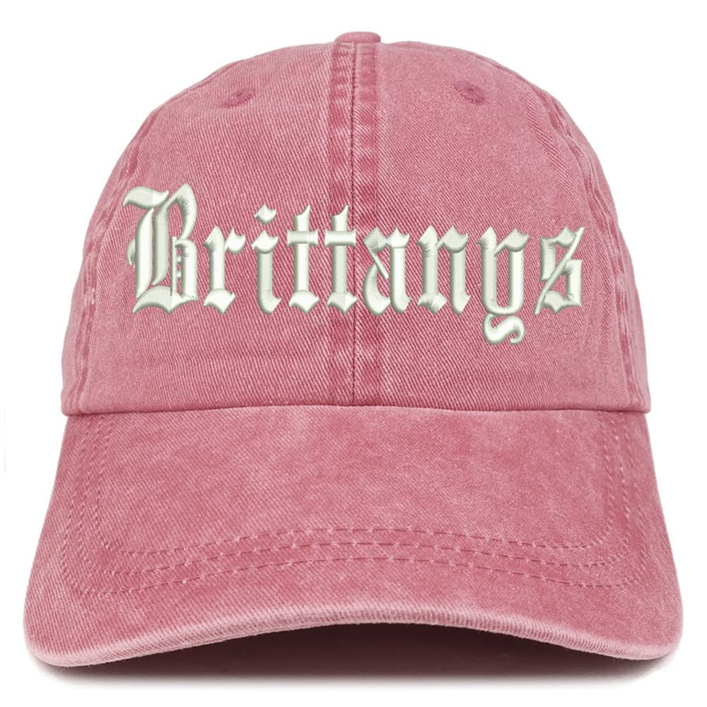 Trendy Apparel Shop Old English Brittanys Washed Pigment Dyed Baseball Cap