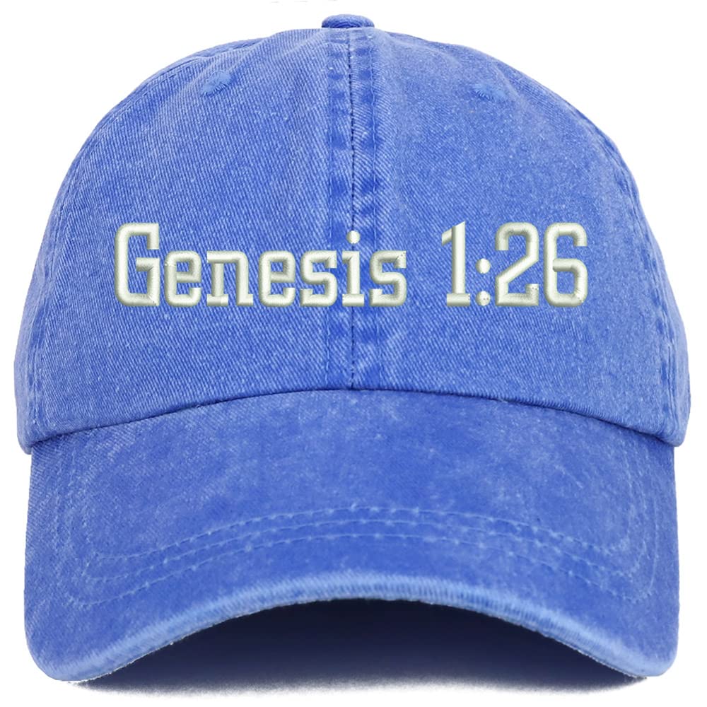 Trendy Apparel Shop Genesis 1:26 Washed Pigment Dyed Baseball Cap