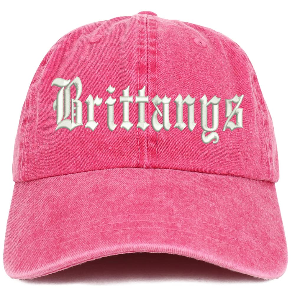 Trendy Apparel Shop Old English Brittanys Washed Pigment Dyed Baseball Cap