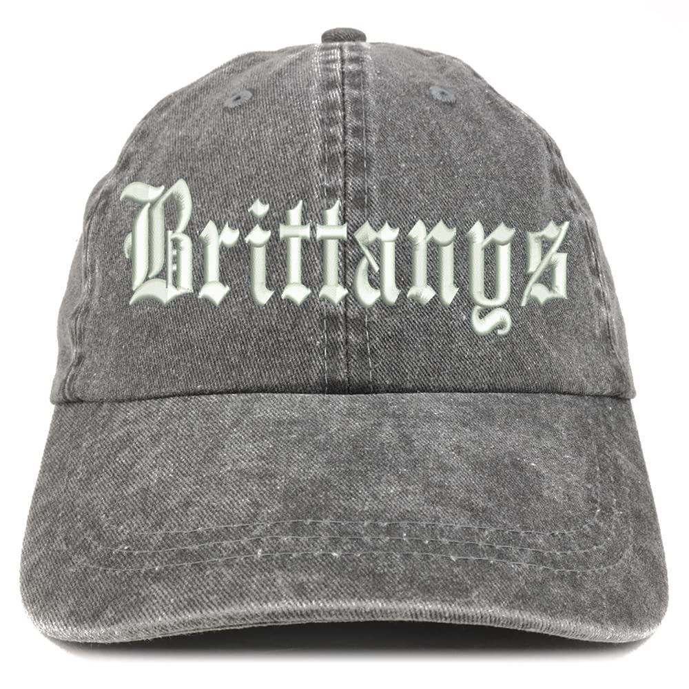 Trendy Apparel Shop Old English Brittanys Washed Pigment Dyed Baseball Cap