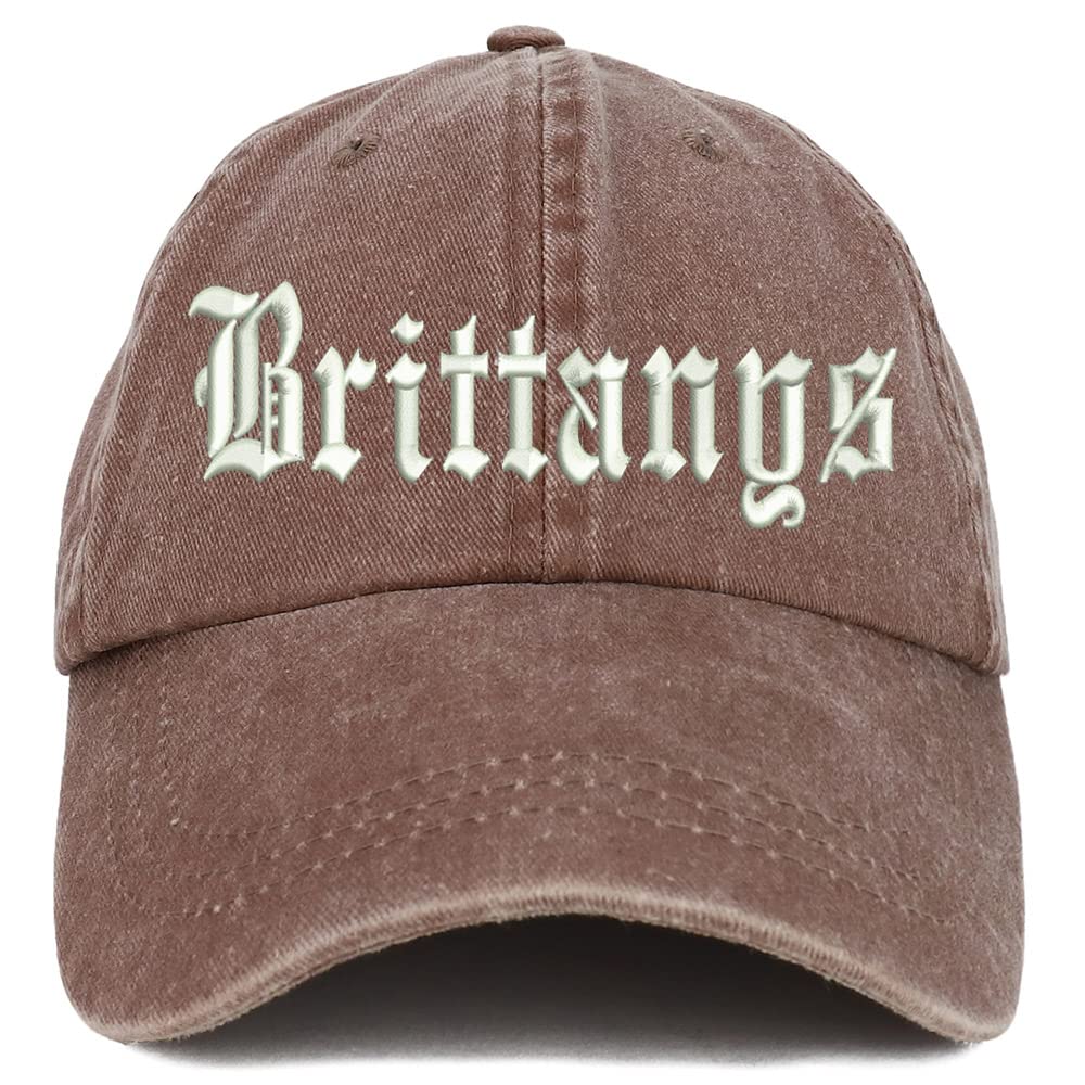 Trendy Apparel Shop Old English Brittanys Washed Pigment Dyed Baseball Cap