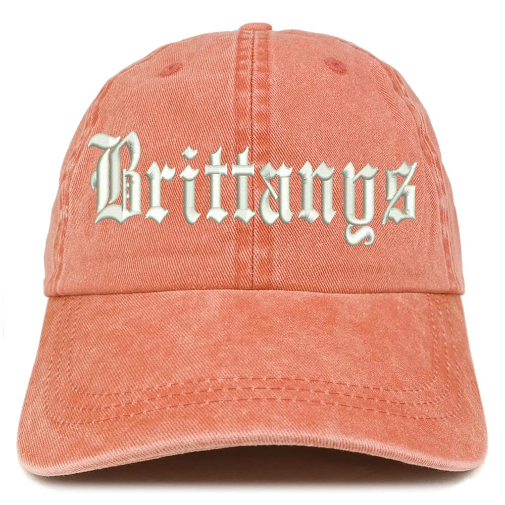 Trendy Apparel Shop Old English Brittanys Washed Pigment Dyed Baseball Cap