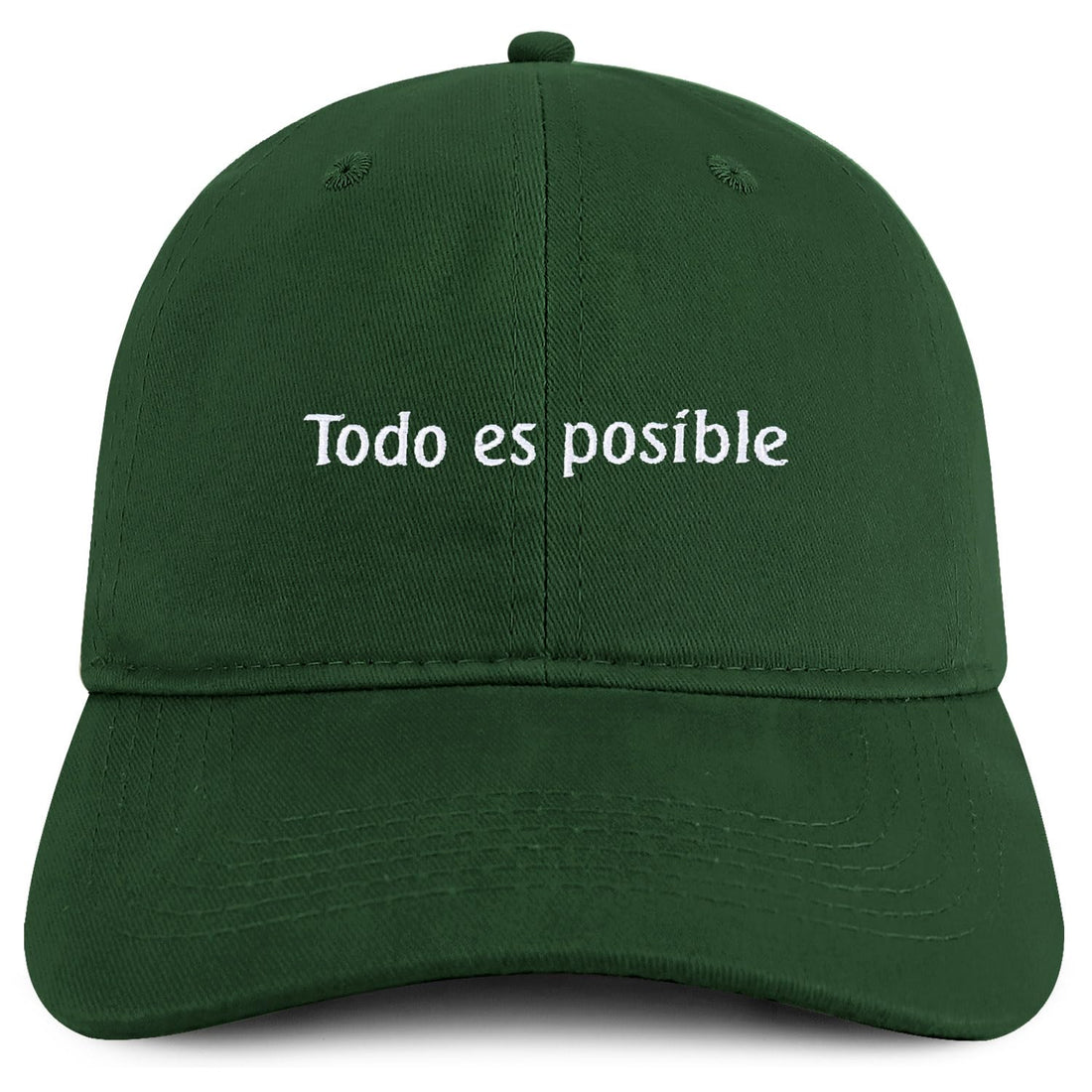 Trendy Apparel Shop Todo ES posible Embroidered Cotton Low Profile Dad Hat