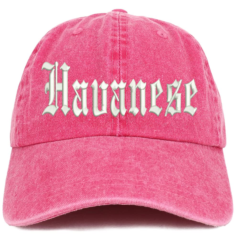 Trendy Apparel Shop Old English Havanese Washed Pigment Dyed Baseball Cap