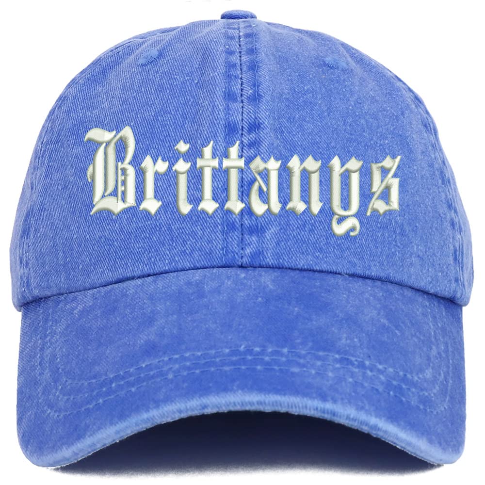 Trendy Apparel Shop Old English Brittanys Washed Pigment Dyed Baseball Cap
