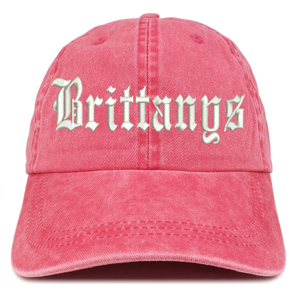 Trendy Apparel Shop Old English Brittanys Washed Pigment Dyed Baseball Cap