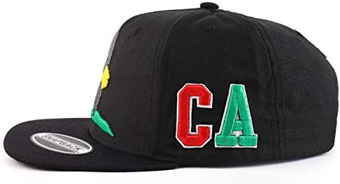 Trendy Apparel Shop California Stand Bear 3D Embroidered Two-Tone Snapback Cap