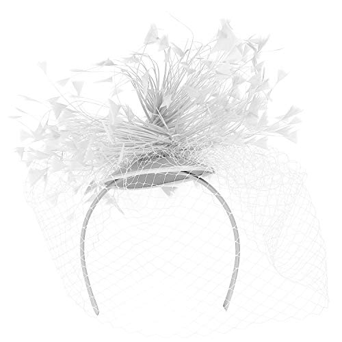 Trendy Apparel Shop Mesh Net Trim Feathers Styled Fascinator Clip Headband
