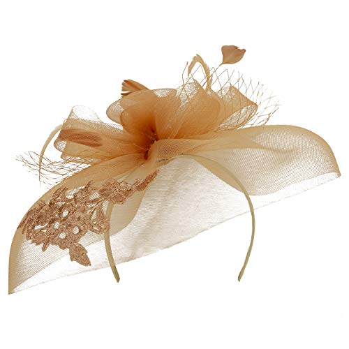Trendy Apparel Shop Horsehair Lace Overlay Fascinator with Flower Loops Mesh Net