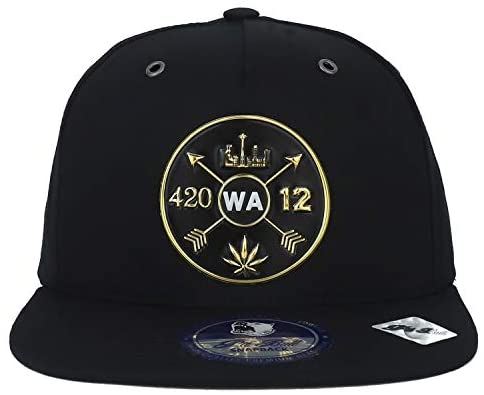 Trendy Apparel Shop Washington State Weed High Frequency Patch Snapback Cap
