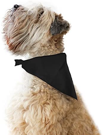 Trendy Apparel Shop Triangular Doggie Neck Bandana