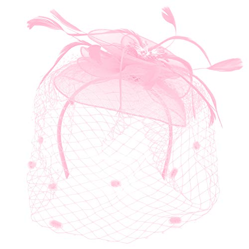Trendy Apparel Shop Mesh Flower Feathered Swiss Dot Pom Net Fascinator