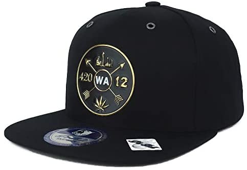 Trendy Apparel Shop Washington State Weed High Frequency Patch Snapback Cap