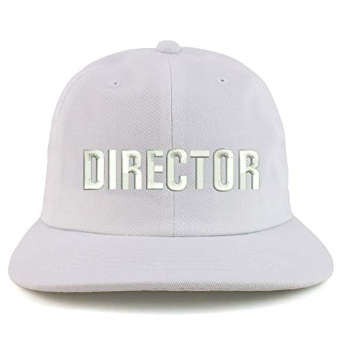 Trendy Apparel Shop Director Embroidered Embroidered Low Profile Snapback Cap