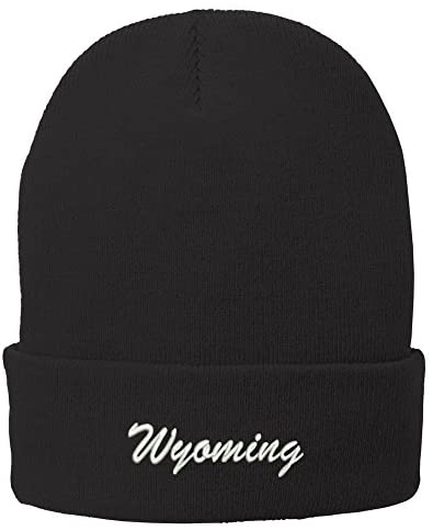 Trendy Apparel Shop Wyoming Embroidered Winter Folded Long Beanie