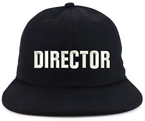 Trendy Apparel Shop Director Embroidered Embroidered Low Profile Snapback Cap
