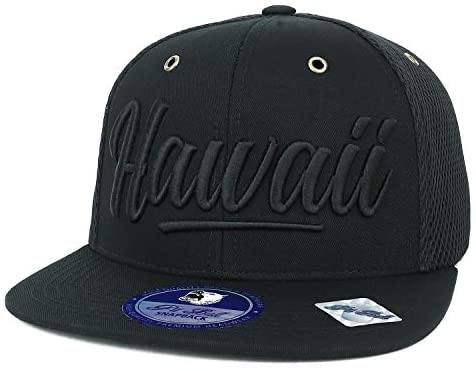 Trendy Apparel Shop 3D Hawaii Embroidered Cotton Micromesh Flatbill Snapback Cap