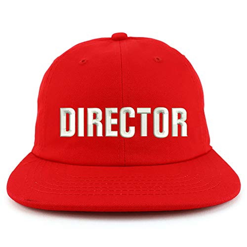 Trendy Apparel Shop Director Embroidered Embroidered Low Profile Snapback Cap