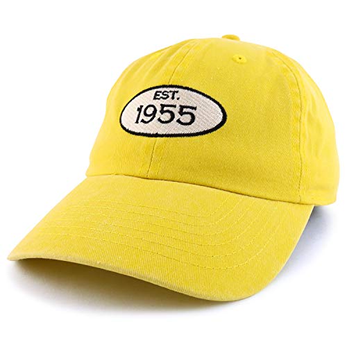 Trendy Apparel Shop 65th Birthday Established 1956 Washed Cotton Adjustable Cap
