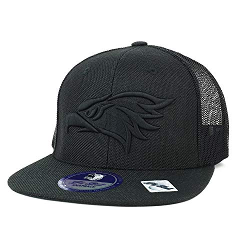 Trendy Apparel Shop Hecho en Mexico Eagle Embroidered Linen Mesh Snapback Cap