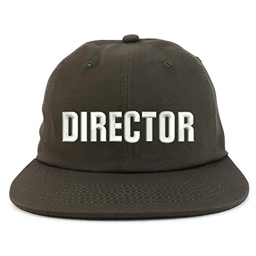 Trendy Apparel Shop Director Embroidered Embroidered Low Profile Snapback Cap