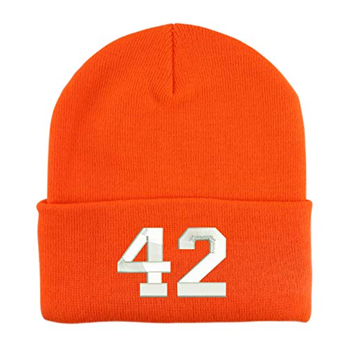 Trendy Apparel Shop Number 42 Collegiate Varsity Embroidered Long Cuff Beanie