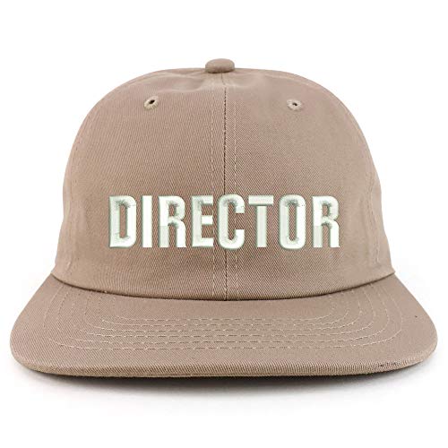 Trendy Apparel Shop Director Embroidered Embroidered Low Profile Snapback Cap