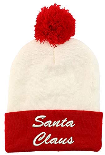 Trendy Apparel Shop Santa Clause Embroidered Winter Holiday Theme Beanie