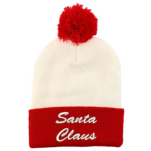 Trendy Apparel Shop Santa Clause Embroidered Winter Holiday Theme Beanie