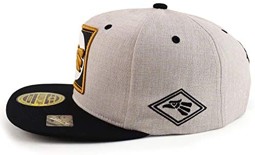 Trendy Apparel Shop Mexico Eagle Patch Embroidered Two Tone Snapback Cap