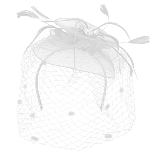 Trendy Apparel Shop Mesh Flower Feathered Swiss Dot Pom Net Fascinator