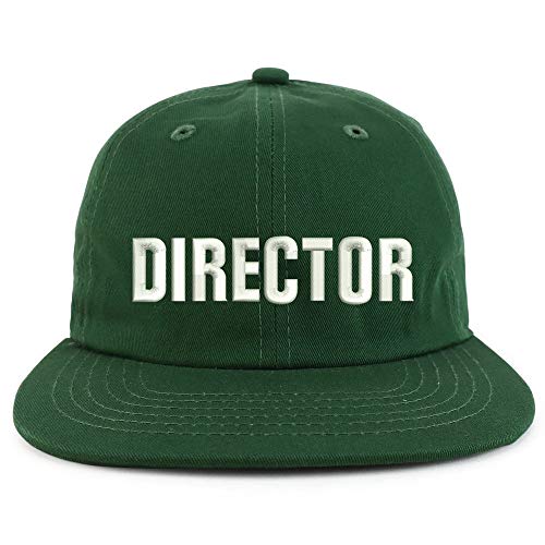Trendy Apparel Shop Director Embroidered Embroidered Low Profile Snapback Cap