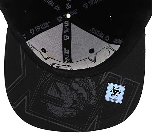 Trendy Apparel Shop Mexico Map Flag Outline Embroidered Flatbill Snapback Cap