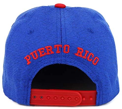 Trendy Apparel Shop Puerto Rico High Frequency Emblem Flat Bill Snapback Hat
