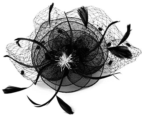Trendy Apparel Shop Mesh Flower Feathered Swiss Dot Pom Net Fascinator