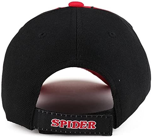 Trendy Apparel Shop Youth Size Boy's Spider Web Embroidered Structured Baseball Cap