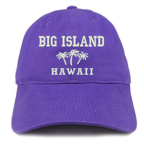 Trendy Apparel Shop Big Island Hawaii and Palm Tree Embroidered Brushed Cap