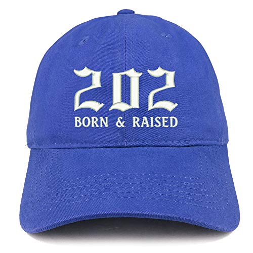 Trendy Apparel Shop 202 Born and Raised District of Columbia Embroidered Brushed Cap
