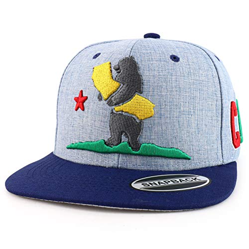 Trendy Apparel Shop California Stand Bear 3D Embroidered Two-Tone Snapback Cap