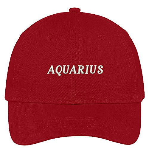 Trendy Apparel Shop Horoscopes Aquarius Embroidered Adjustable Cotton Cap