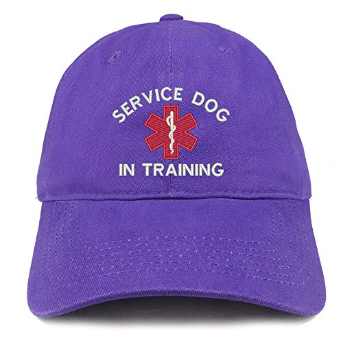 Trendy Apparel Shop Service Dog in Training Medical Symbol Embroidered Brushed Cap