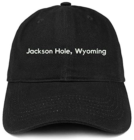 Trendy Apparel Shop Jackson Hole Wyoming Cotton Unstructured Dad Hat
